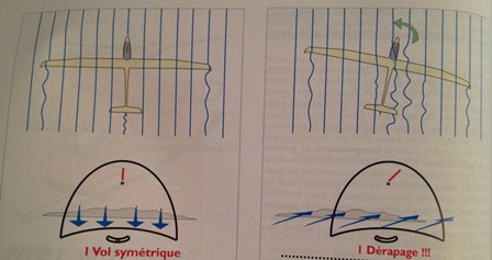 symétrie du vol