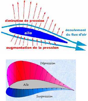 Zones de haute et basse pression autour de l'aile